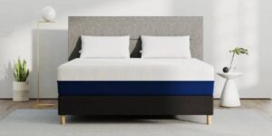 New-Project-2025-03-27T205845.564-300×150