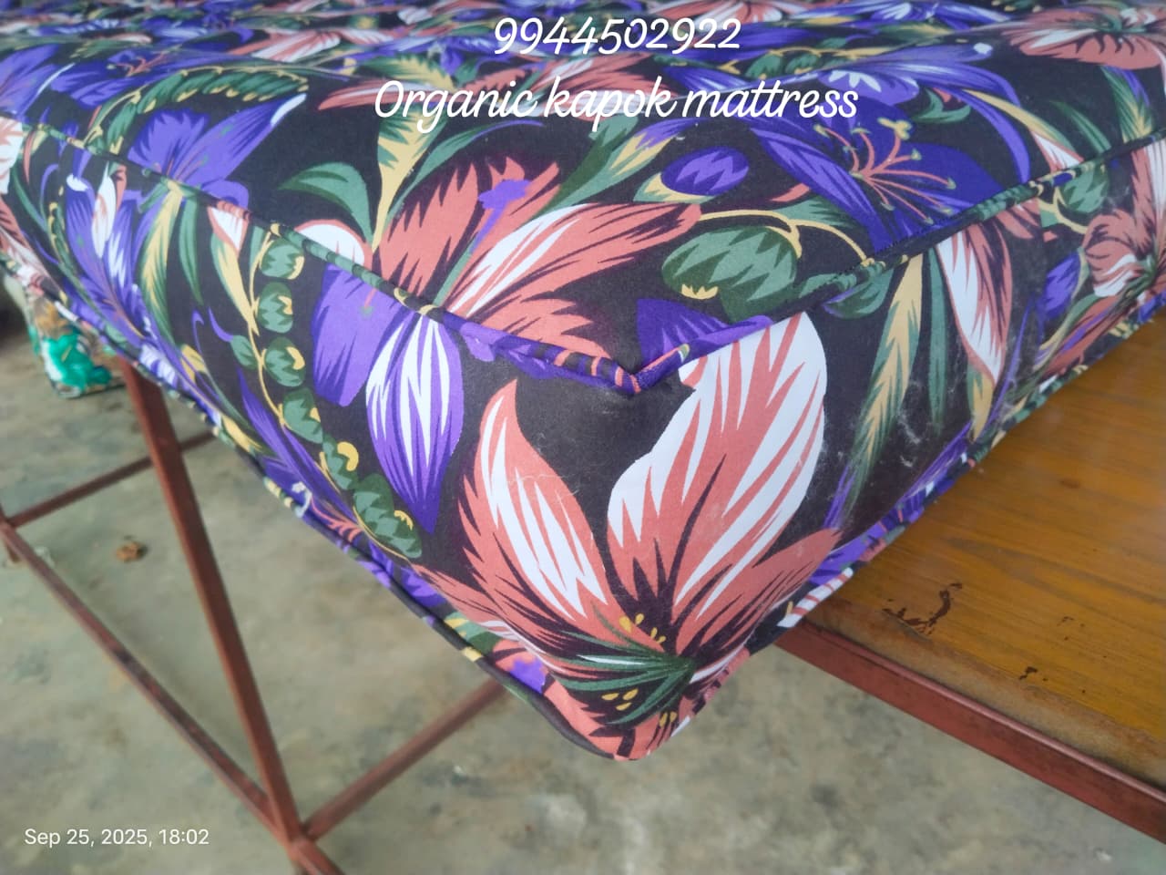 WhatsApp Image 2025-11-22 at 12.58.11 PM